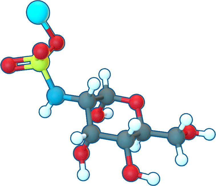 Image of Glucosamine Sulfate Sodium Chloride | C12H28Cl2N2Na2O14S | Supreme Pharmatech